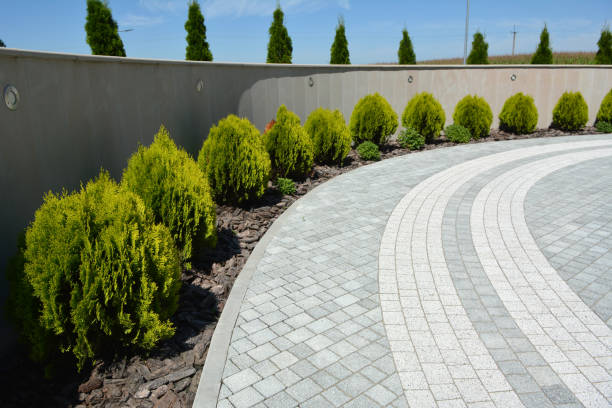 Professional Driveway Pavers in Pasadena Hills, FL