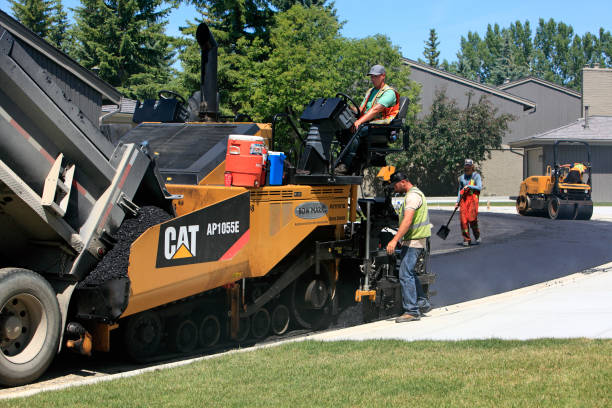 Professional Driveway Pavers in Pasadena Hills, FL